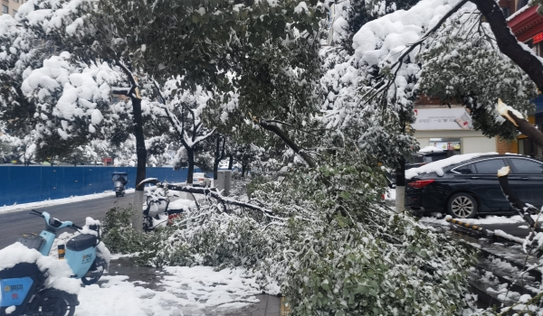 抗擊冰雪，他們在行動